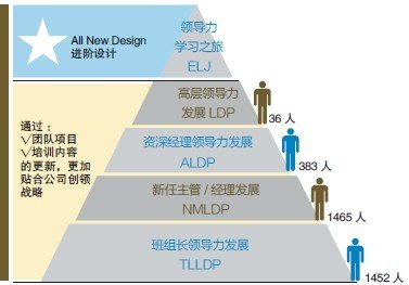 如何在商务培训中引入现代领导力模型