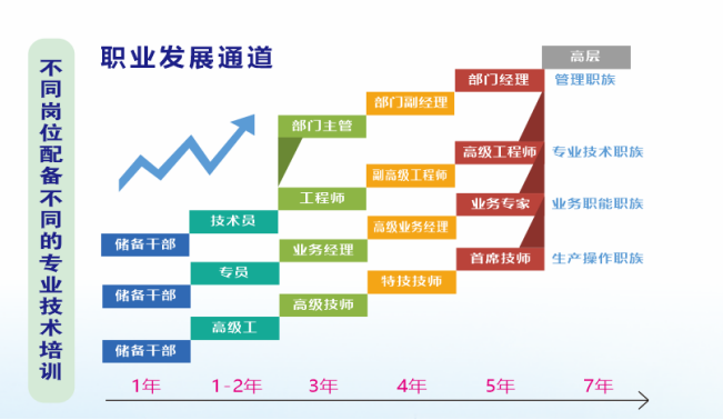 如何为不同职务层级设计定制化的商务培训计划