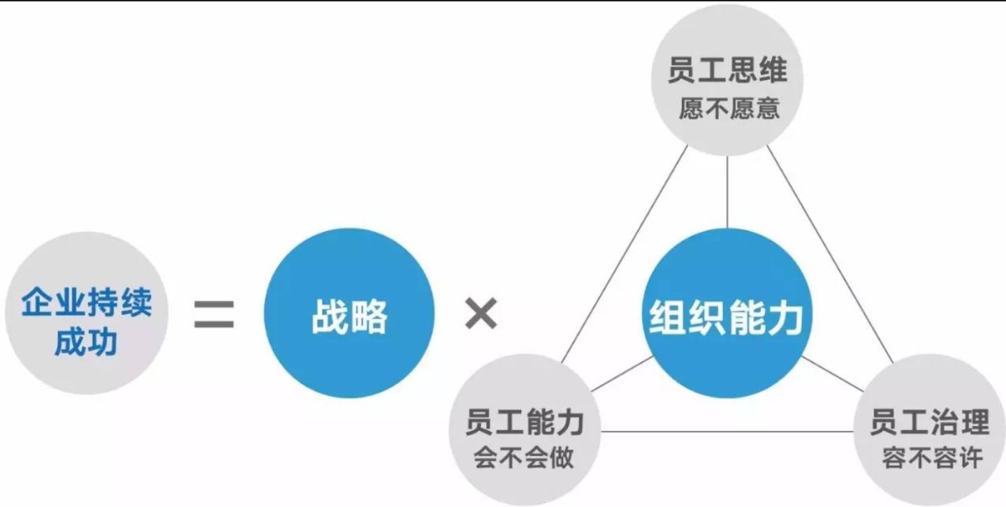 数字技能如何提升员工的解决问题能力