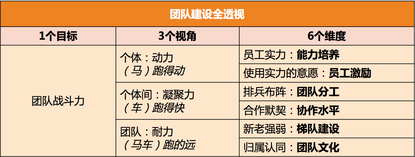 什么样的团队建设活动能够提高团队的自我管理能力