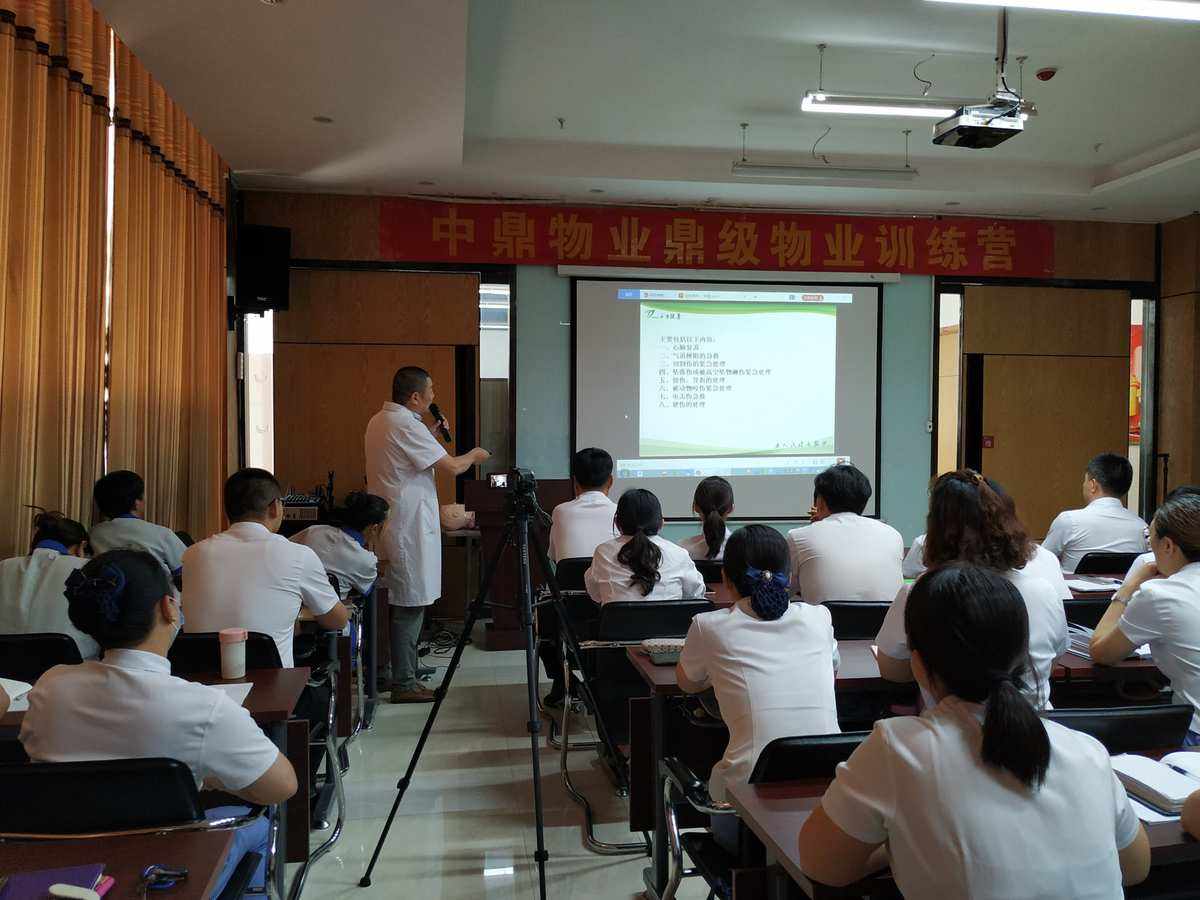 如何通过技能培训提升员工的问题解决能力