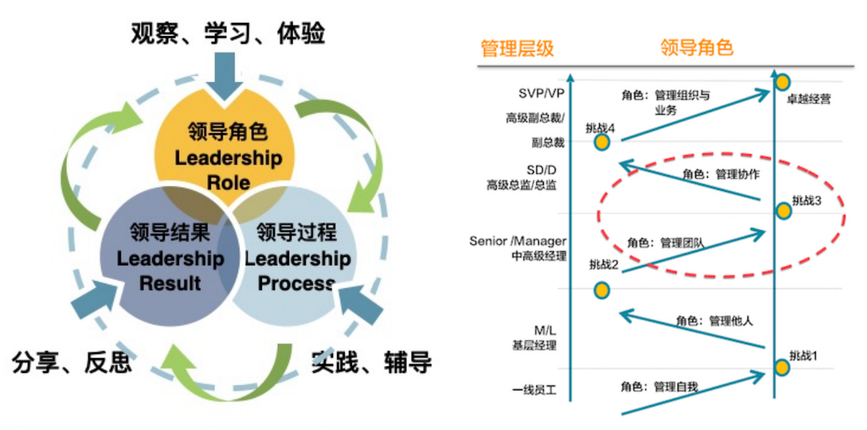 如何在不同文化背景中培养领导力