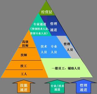 如何评估员工的职业发展需求